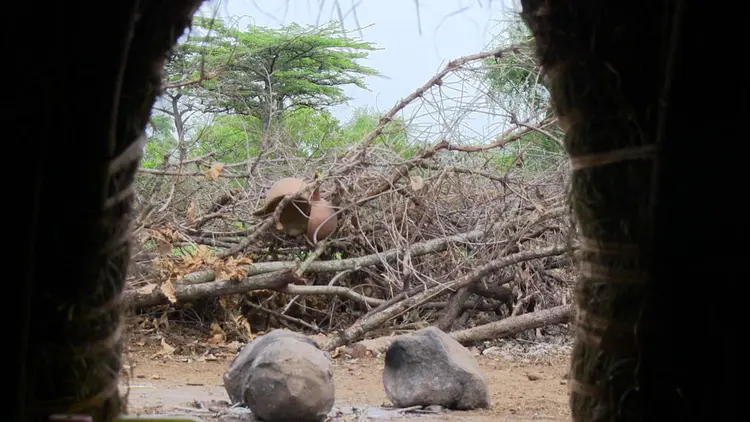 ዶሪ ቶይ ታና ቮኝ 