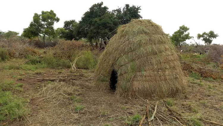 ዶሪያ ኃኒ ቻጋ 