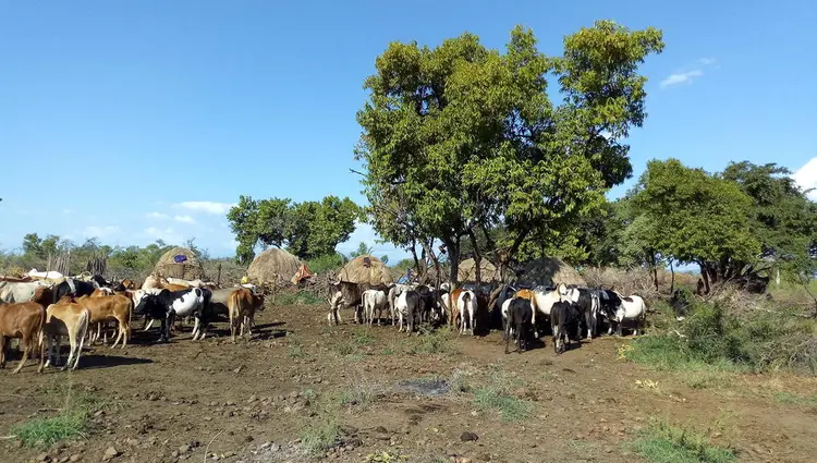 ቢዮ ኡኁሰ ራ