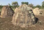 ቫ ኮ ሳብባ ካባንሻኛ-bha ko sabba kabbanshanya